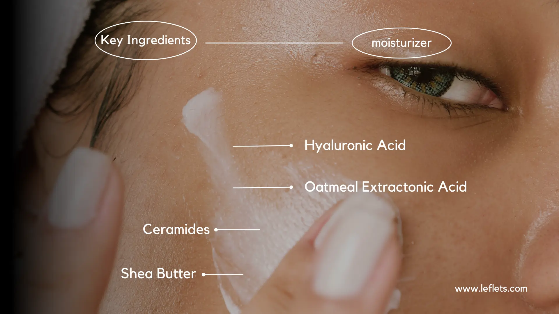 Key Ingredients to look for in Winter Moisturizers